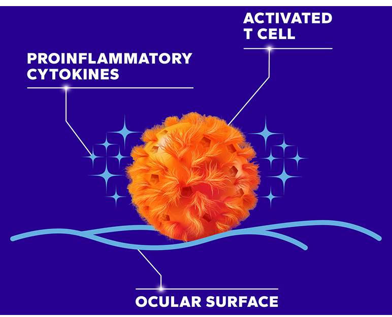 Image of an activated T cell releasing proinflammatory cytokines at the ocular surface